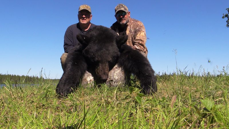 pourvoirie-lac-suzie-chasse-ours-bear-hunting-2019-05